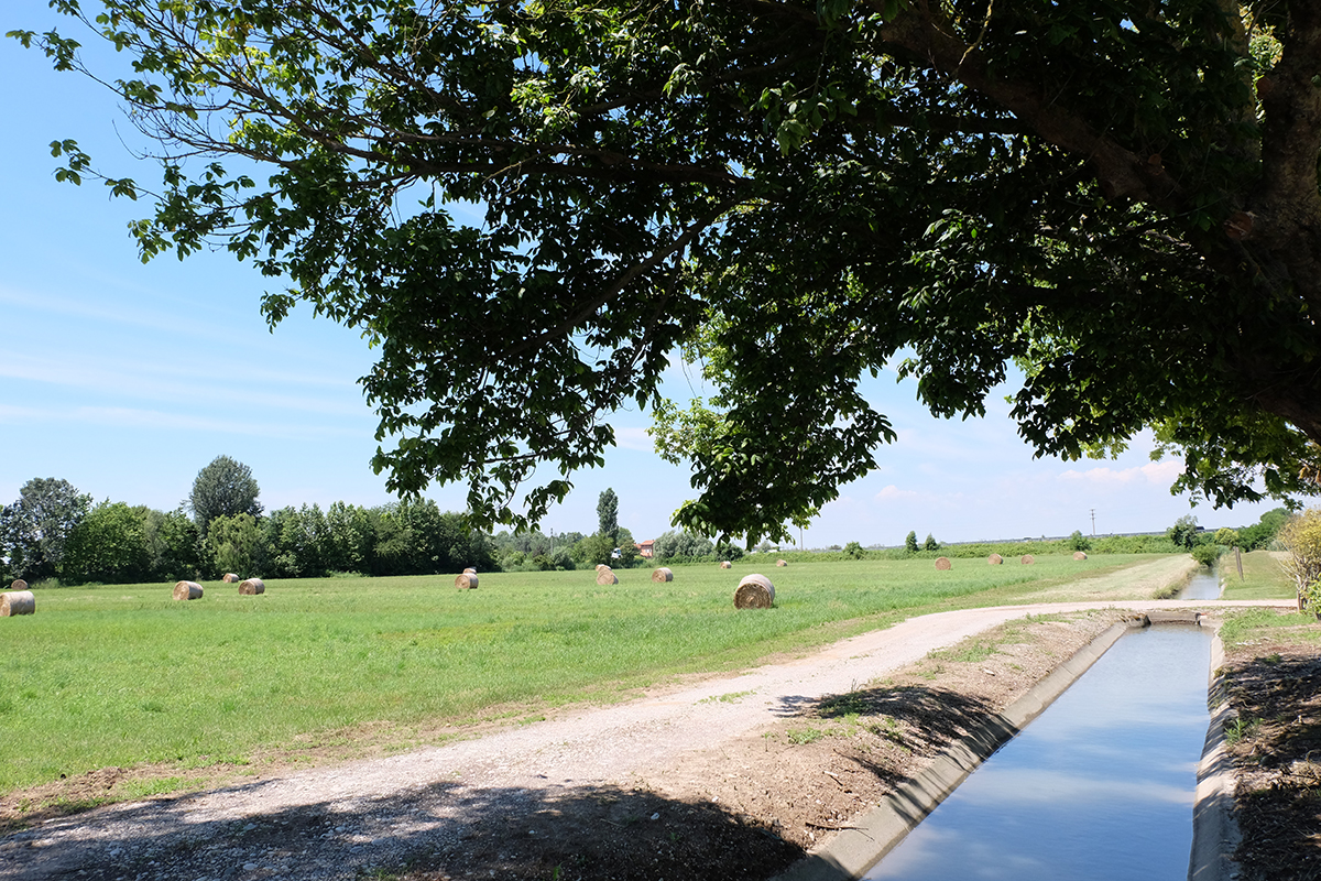 JJ14_piste ciclabili_jesolo_Bonifica_via Calvi_foto campagna